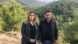 CHP İzmir Milletvekili Kılıç'tan "Ağaç Katliamı" Tepkisi