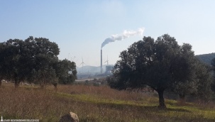Zeytinliklerimizi Ranta Kurban Ettirmeyeceğiz