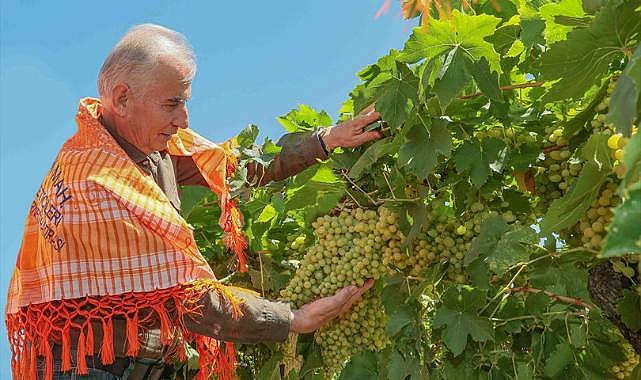 Denizli destekliyor, çiftçiler daha çok kazanıyor