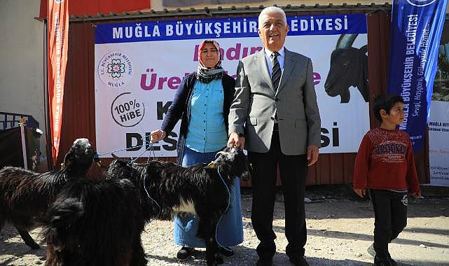 Büyükşehir'in Kıl Keçisi desteği 3 ilçede devam ediyor