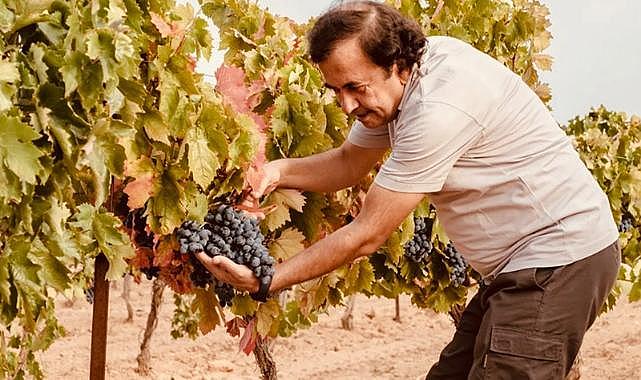 Denizlili firma İngiltere'den 2 altın madalya ile döndü