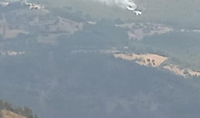 İzmir'de 2 orman yangını yaklaşık 30 dakikada kontrol altına alındı
