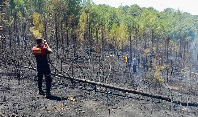 Muğla'daki orman yangını kontrol altına alındı