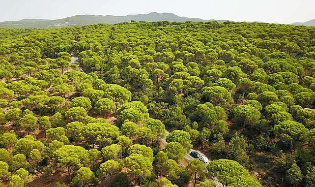 Bir taş ocağı daha yolda… Kozak kan ağlıyor