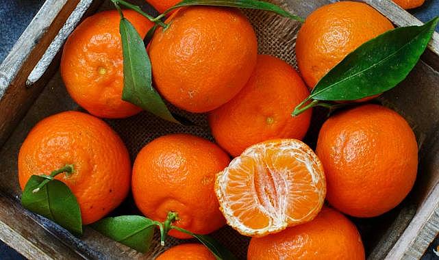 Satsuma mandalinanın ihracat yolculuğu 20 Ekim'de başlıyor
