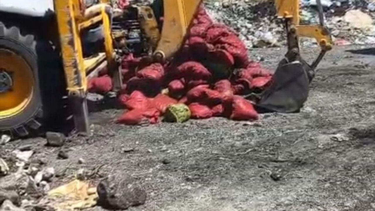 Manisa'da bozuk 4 ton midye imha edildi!