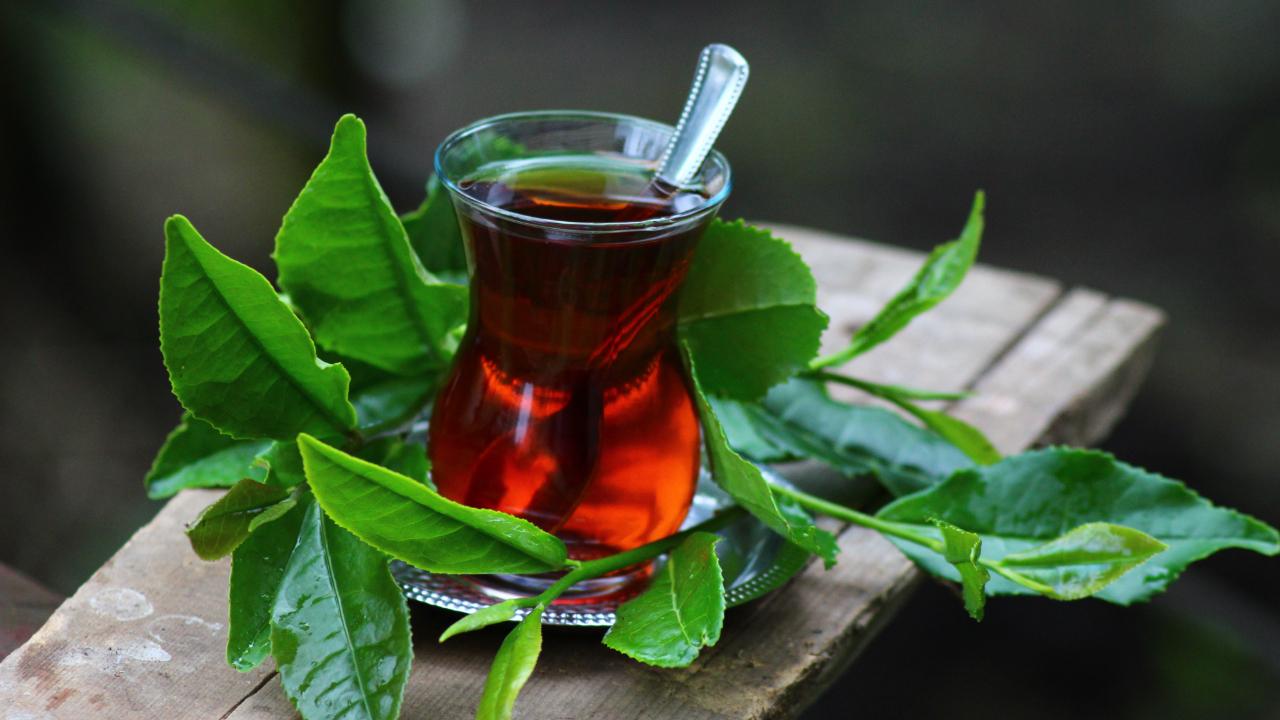 ÇAYKUR'dan Çay Tiryakilerini Üzecek Karar! Fiyatlar Bir Kez Daha Yükseldi