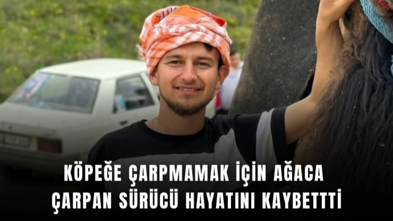 Köpeğe çarpmamak için manevra yaptı, hayatını kaybetti