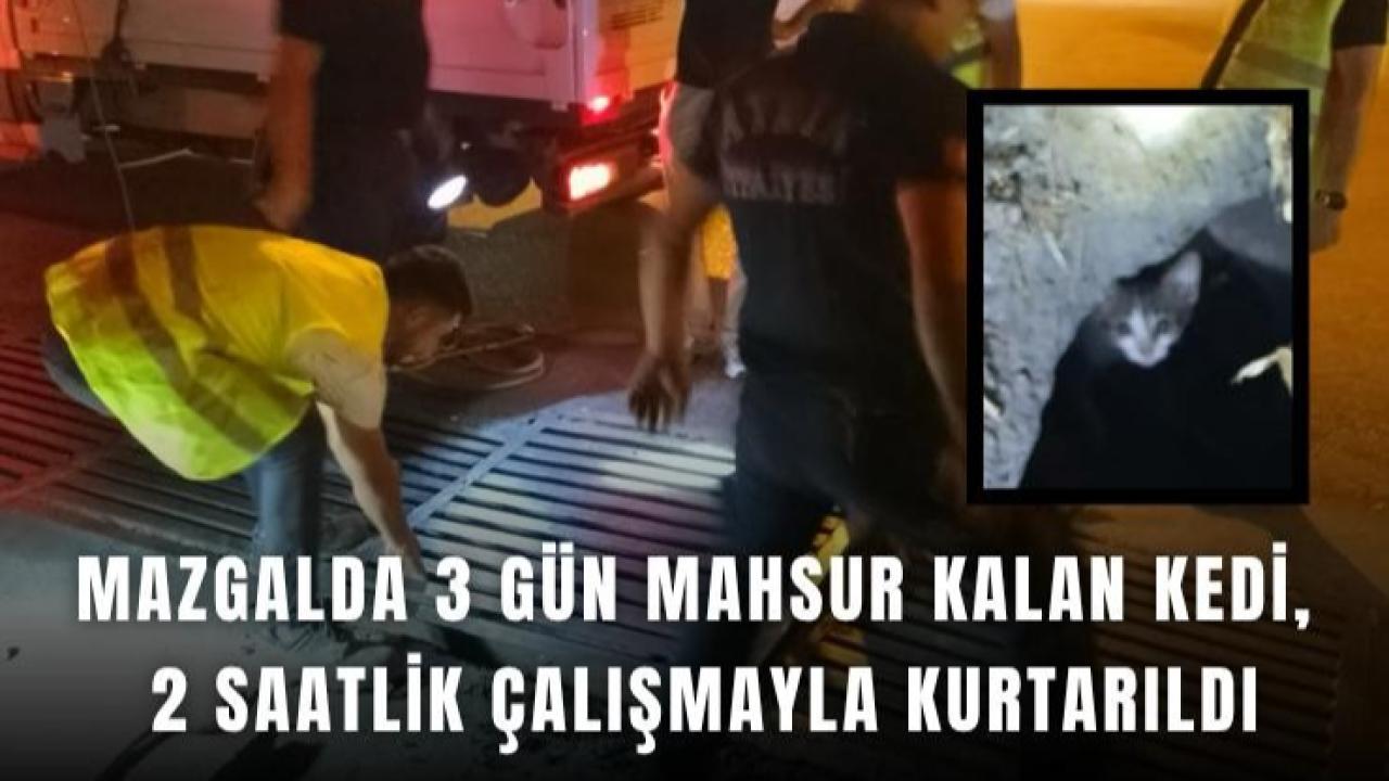 Mazgala Sıkışan Kedi İçin Seferber Oldular: 3 Gün Sonra Kurtarıldı