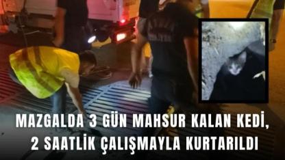 Mazgala Sıkışan Kedi İçin Seferber Oldular: 3 Gün Sonra Kurtarıldı