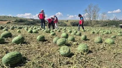 Süper hücre Tekirdağ'ı vurdu: Ekili Alanlar Yerle Bir Oldu