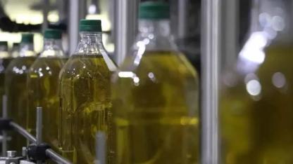 Zeytinyağı ihracatında sert düşüş: Piyasalar sarsıldı